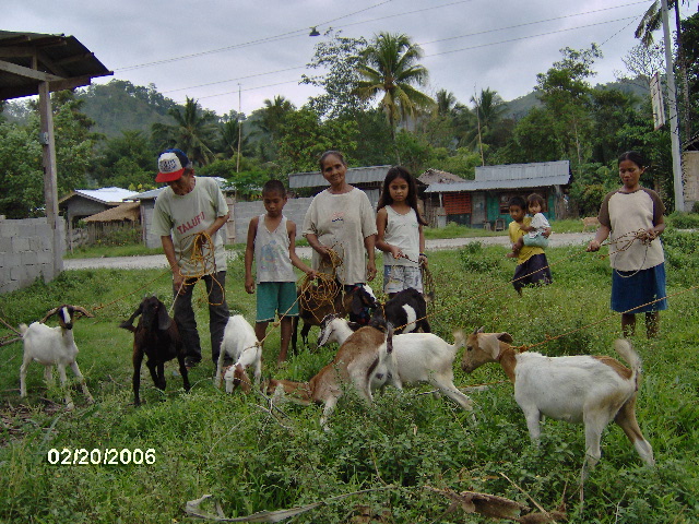 Livestock Project- Stop the Tears